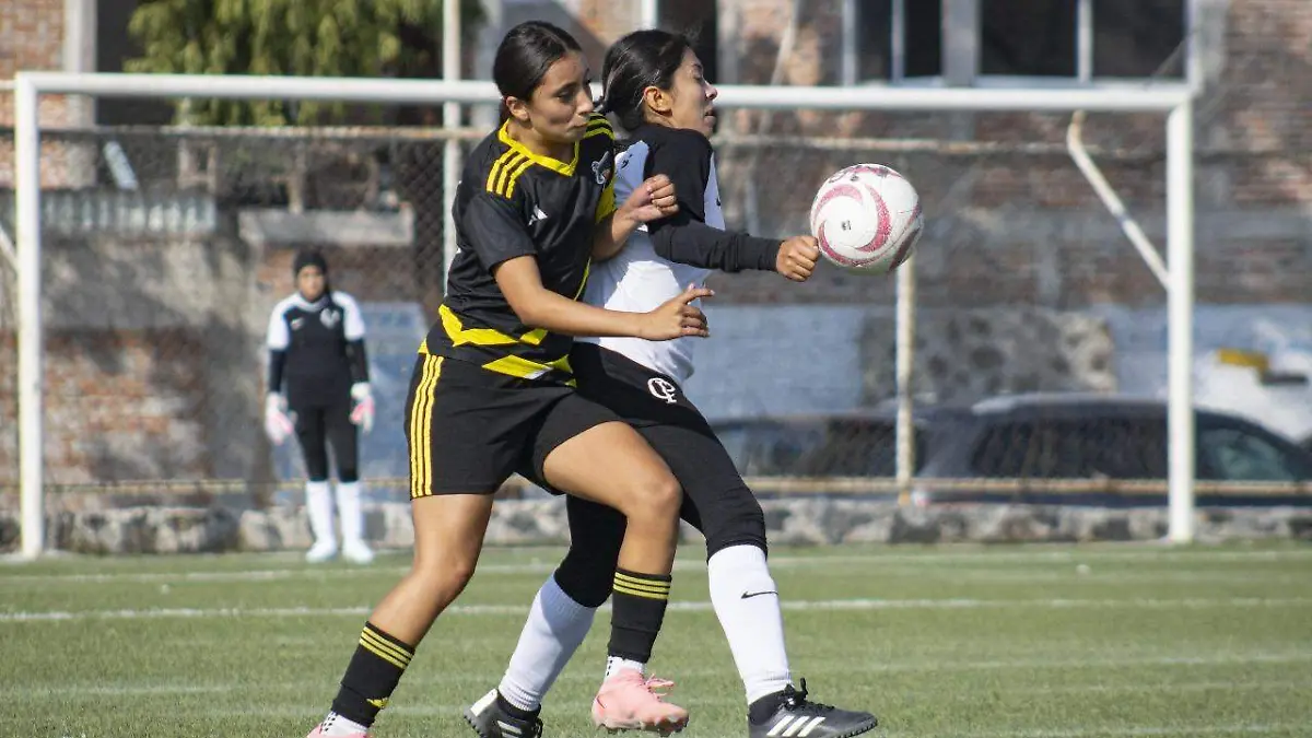 Toros Querétaro vs Club Parras